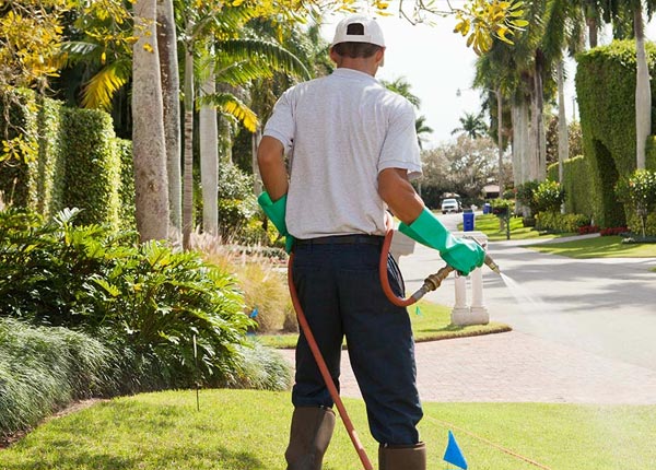 About Tabiona UT Pest Control